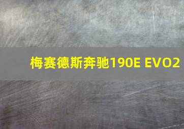 梅赛德斯奔驰190E EVO2